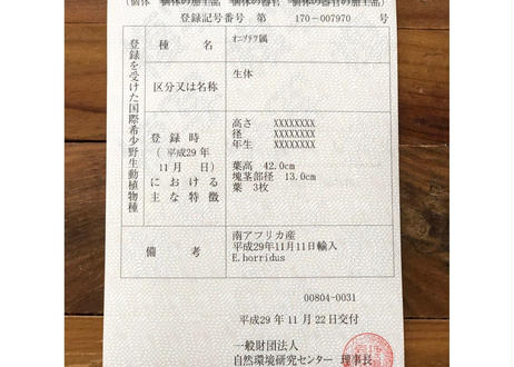 5c5babfc787d8415a8048f40