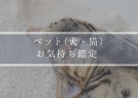 5d437eef8e69190e6e5cafaf