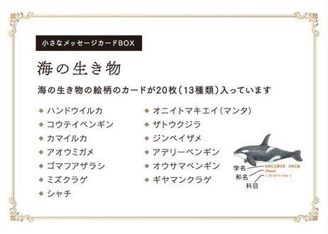 5db90028bc45ac37cb27f2f0