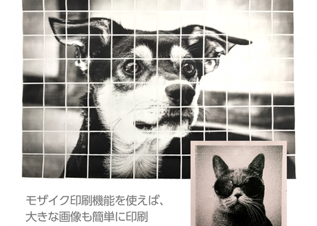 59f7c6afc8f22c121a000908