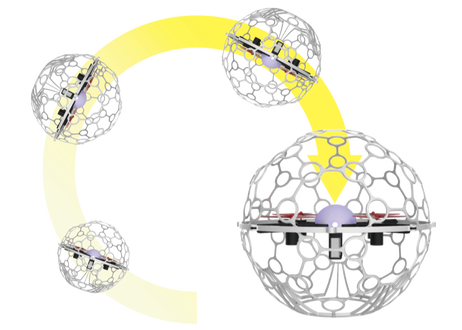 5bb1ca525496ff3651000183