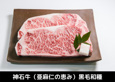 5eb263df72b911671f571fe7