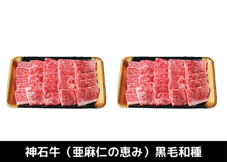 5edf193a72b91151713fc519