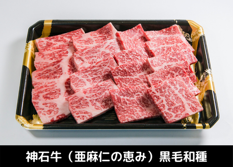 5ee7508d0d5e381048d6fa90