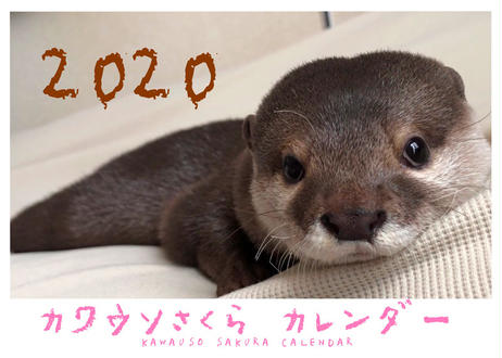 5d8b409dbc45ac47d89a0207