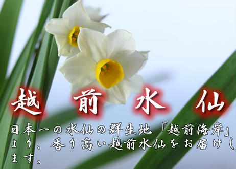 5ee02748cee9ea57e41de987