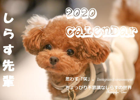 5d8b5988965803611bba84bd