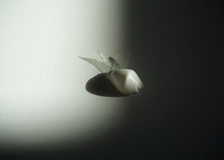 5d80c5386004fb1192bee69e