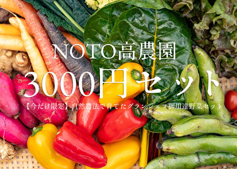 5e917bbee20b041d6c31f56b