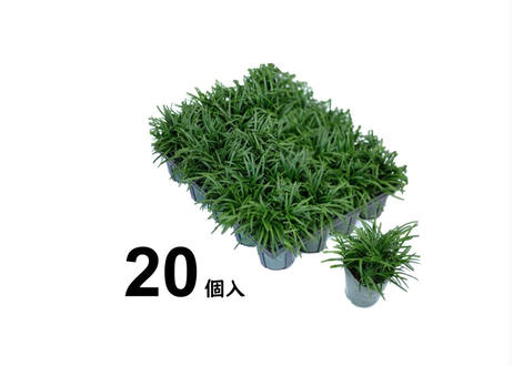 5e2462a3707cec5c008c0af3