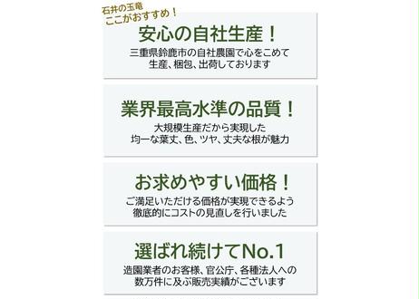 5e2461c4fa03d736ef9d987b