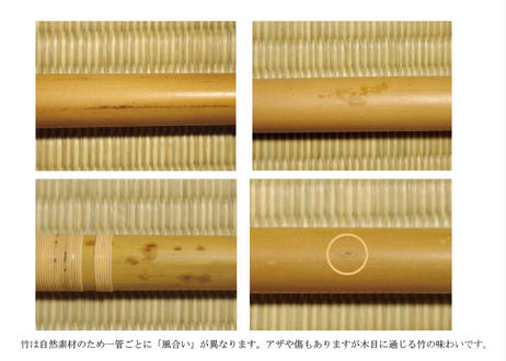 5f4107967df2815d5efd4959