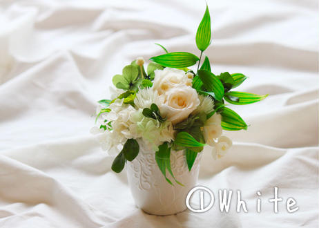 5d92f608ff78bd096451bfee