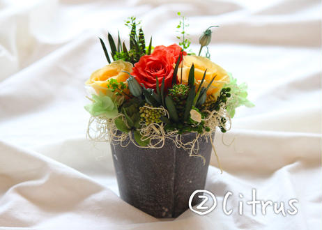 5d92f608ff78bd096451bfee