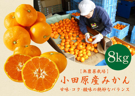 5e16f2c25b120c0456b46f45