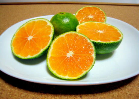 5f6597f43ae0f4458c69fce2