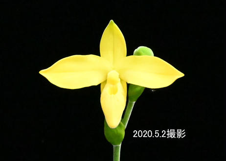 5ead37a2bd21784df2de0a76