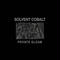 SOLVENT COBALT - Private Gloam LP (Asylum Party)