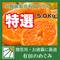 【送料無料】【甘い】有田みかん【低農薬】【乳酸菌栽培】お正月用 和歌山 谷本農園 有田のめぐみ 5kg(※北海道、沖縄+500円の送料を頂戴します)