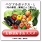 ベジフルボックス L(お野菜てんこ盛り)