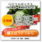 ベジフルボックス【定期便】