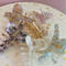 POTETE big skinny hair clip
