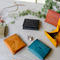 Coin case 【pawn】/#6color