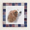 フォギーカラー/レッドブルー(L)◆Tile Picture Frame(L)/Foggy Tone/RED-BLUE◆