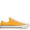 CT70 SUNFLOWER 162063C