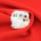 【受注生産】Bichon brooch