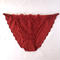 Geranium red silk panty