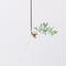 suspended flower oak