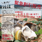 【緊急販売】夏のごちそう!天草岩牡蠣Mサイズ15個 6月5日までのご注文