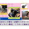 【録画視聴チケット】2022/1/10 店主あびこが語る!赤裸々ハウツートーク 「オンライン配信、こうやって始めたよ」