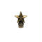 HBC-9-B "STAR" ValveCap