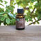 Wellness Village Moringa Botanicals Pure Face Oil 30ml