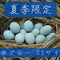 【夏季限定!24時間放牧養鶏卵】下田ブルーSSサイズ×6個入り