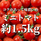 八ヶ岳産ミニトマト約1.5kg(トマトが苦手なお子様にもオススメ)