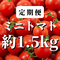 【定期便】八ヶ岳産ミニトマト約1.5kg(トマトが苦手なお子様にもオススメ)