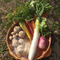 【新春 自然栽培天日干し玄米餅と自然栽培野菜のセット】