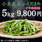 【ご予約開始!】小糸在来(R)えだまめ 5kg