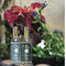 ONE Aroma-oil Room Fragrance 'CALM'