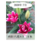 【定期便】Life with Lilies~ユリと一緒に暮らしてみませんか?~毎月違うユリが生産者から直接届く!ワクワク感!発送先を変えることも可能です♪