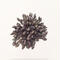 Smoky Pom Pom (4 colors)