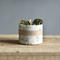 BOTANICAL SOY CANDLE