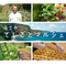 <6/27㈯到着便>【島からお届け物】海士の「てしごとマルシェ」