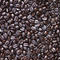 自家焙煎コーヒー豆 マラウイ ポカヒルズ・チャカカ フレンチロースト