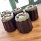 チョコミントカヌレ