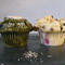 6 muffins