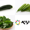 夏野菜セット(オクラ/モロヘイヤ/ズッキーニ)